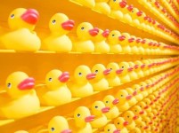 Blog Alignment image